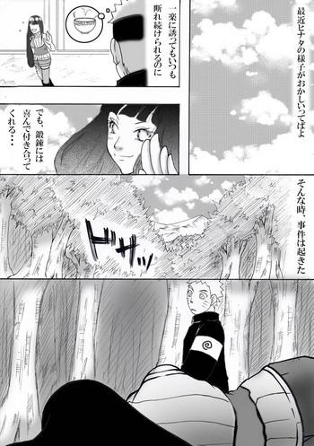 cover 21