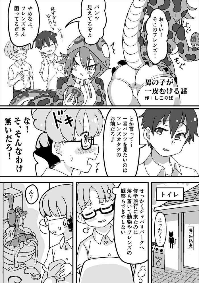 cover 13