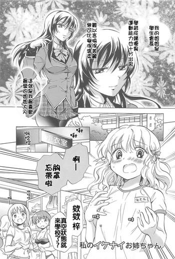 cover 17