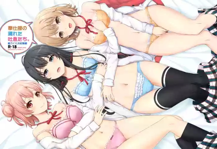c95 studio a inanaki shiki houshi bu no nureta toiki tachi yahari ore no seishun love come wa machigatteiru digital cover